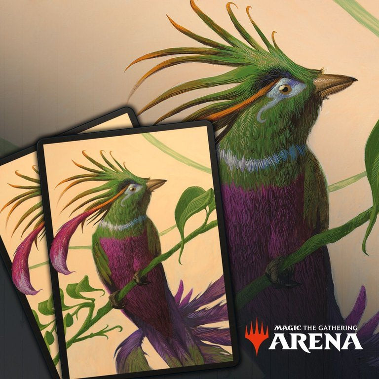 Ornithological Studies