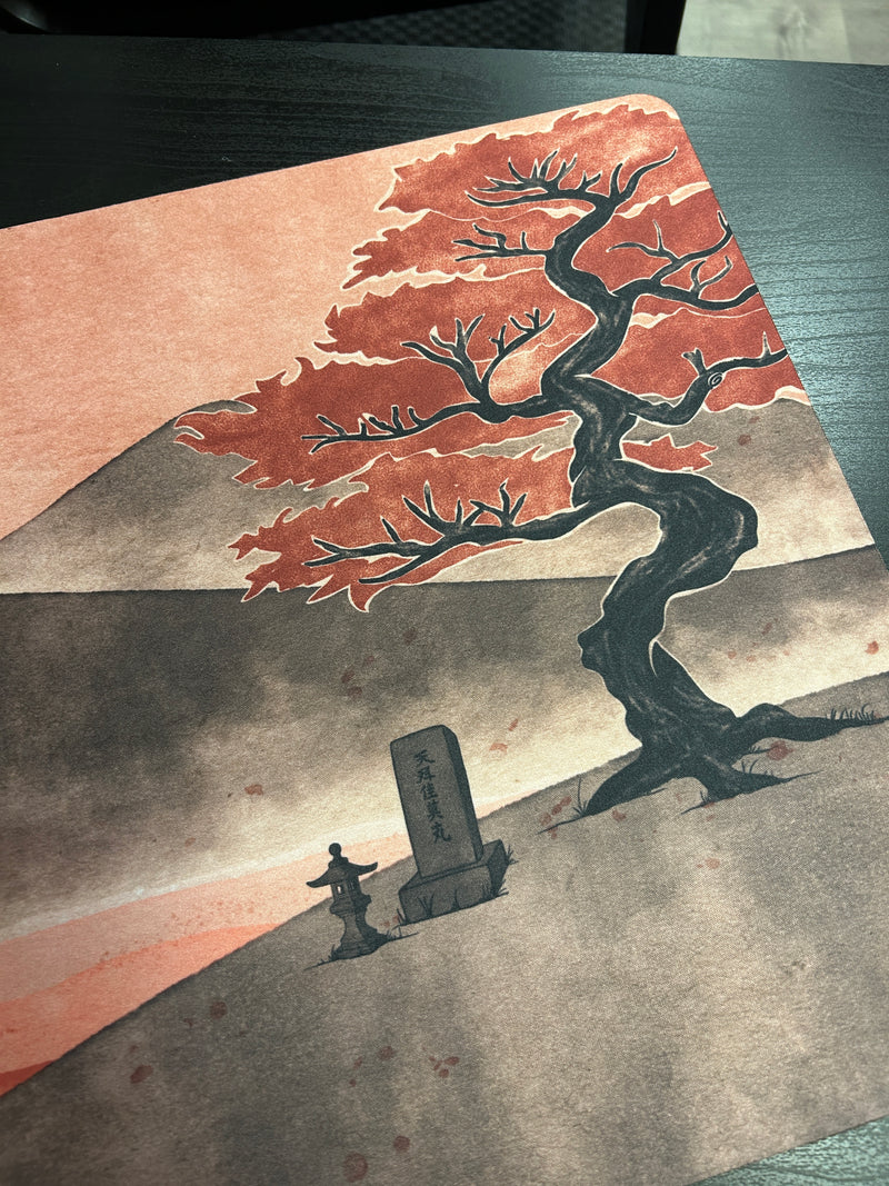 Tapet el Nucli edició 2025