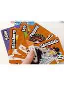 One Piece Nakama: amigos y enemigos