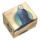 Sidewinder 100+ Xenoskin Avatar: The Last Airbender de Ultimate Guard